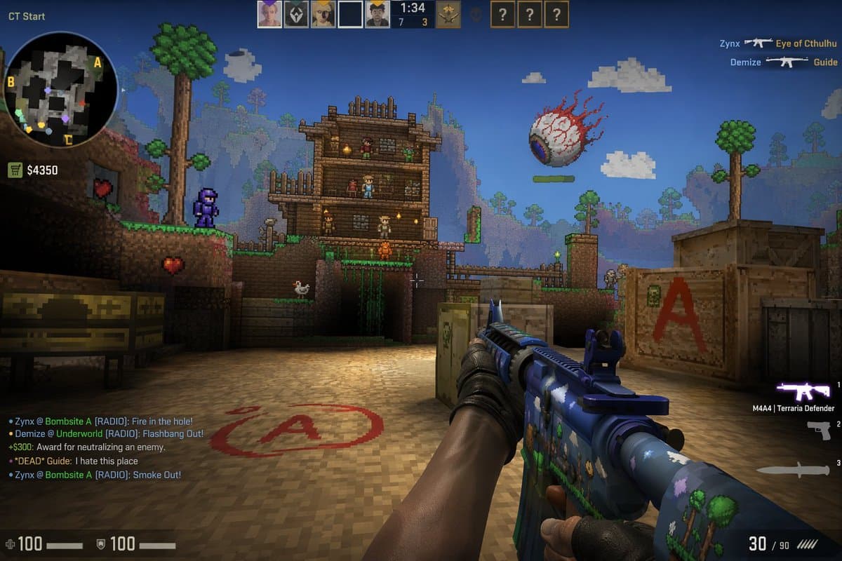 Counter Strike Terraria Mashup